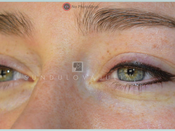 Permanent makeup Eyebrows от Юлии Сундуловой. Восолски с растушевкой|Long-Time-Liner